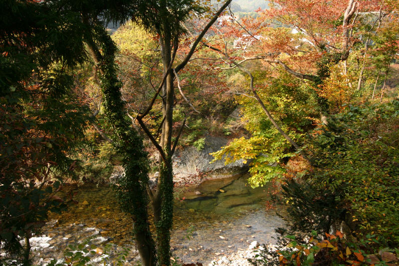 水上－利根川・諏訪峡遊歩道 _f0017530_21504323.jpg