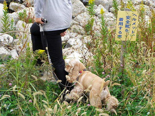 a0092032_1173920.jpg
