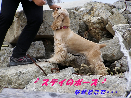 a0092032_133020.jpg