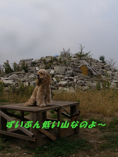a0092032_1334984.jpg