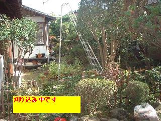 f0031037_20583873.jpg