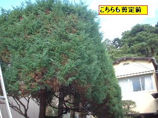 f0031037_2059193.jpg