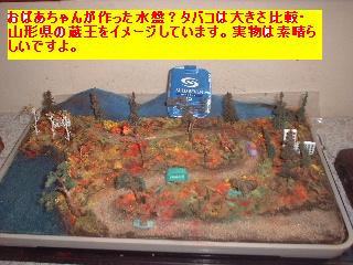 f0031037_20593232.jpg