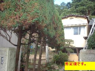 f0031037_2059991.jpg