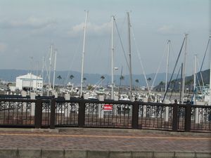 a0050838_2063438.jpg