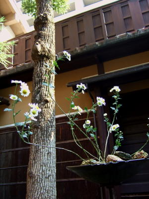 c0055343_0373611.jpg