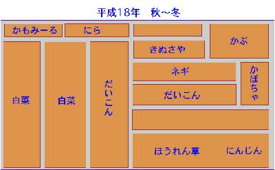 市民農園便り 13_c0063348_20345699.jpg
