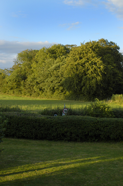 Cotswolds　Fosse Farmhouse・3_a0003650_23184317.jpg