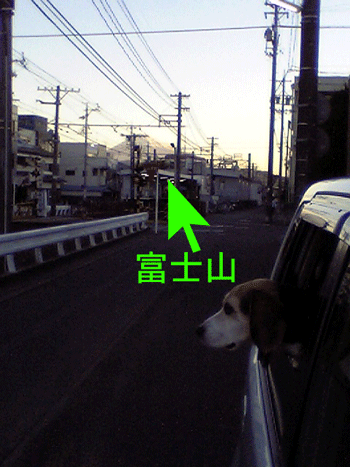 b0005652_21223677.gif