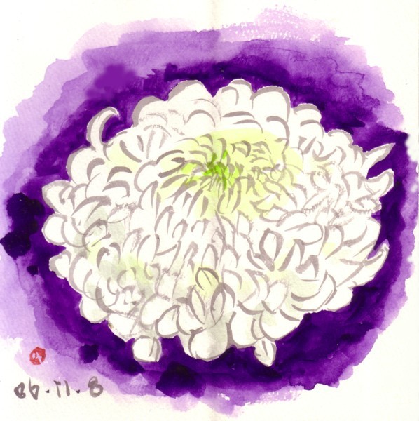手塩にかけた菊_e0074955_2314413.jpg
