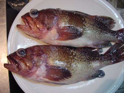 富山 魚津では アカラ と呼んでいますが 酒肴旬菜 おおあみ 新橋 和食 居酒屋