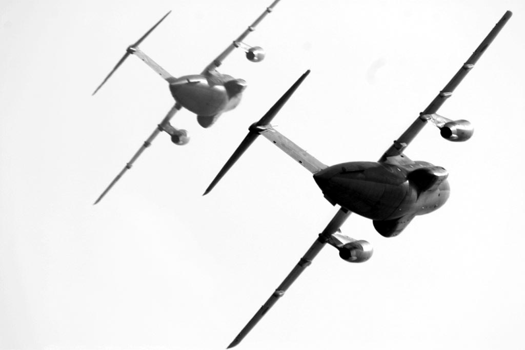 c0009475_05205.jpg