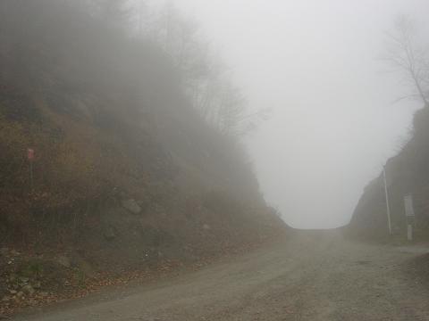 a0091680_84056.jpg