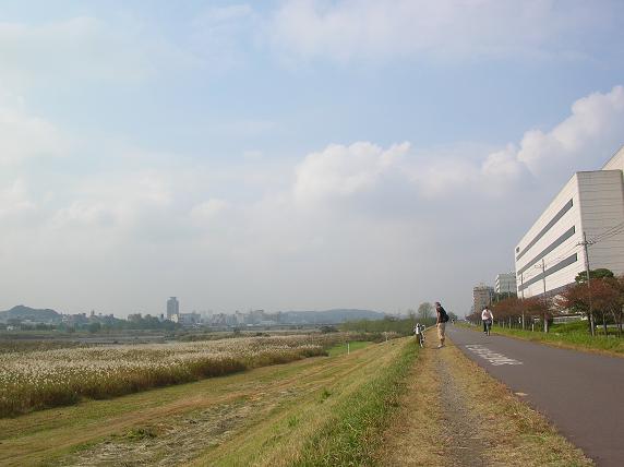 f0063887_10221325.jpg