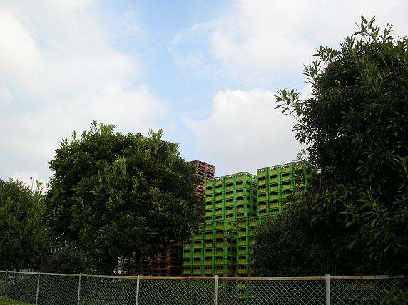 f0063887_10233510.jpg