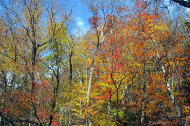 c0025895_658234.jpg