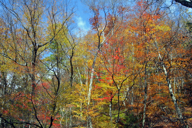 c0025895_6584268.jpg
