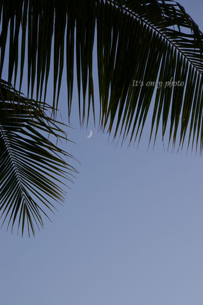 e0008800_14394996.jpg