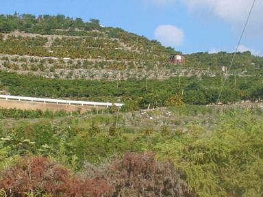 c0096804_14491682.jpg