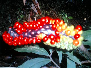 c0098304_035943.jpg