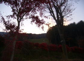 e0070606_211791.jpg