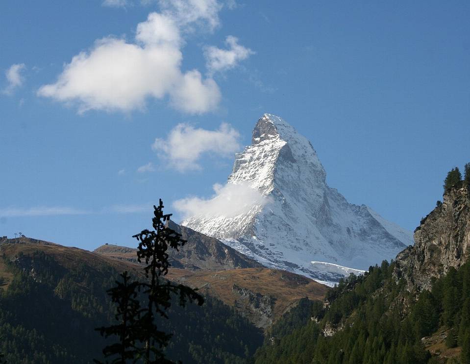 e0003910_1735812.jpg