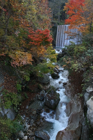 a0036412_05093.jpg