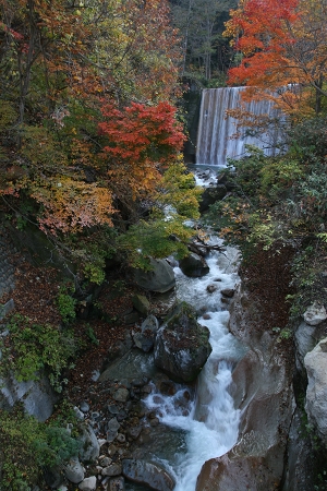 長野・新潟の旅　２_a0036412_05093.jpg