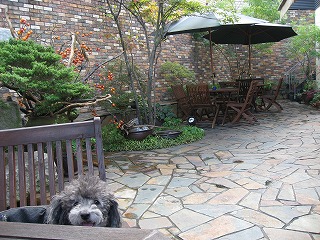 b0032513_1022067.jpg