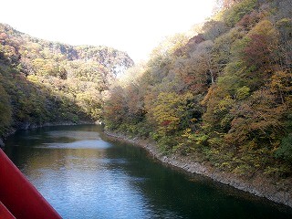 e0072023_195634100.jpg