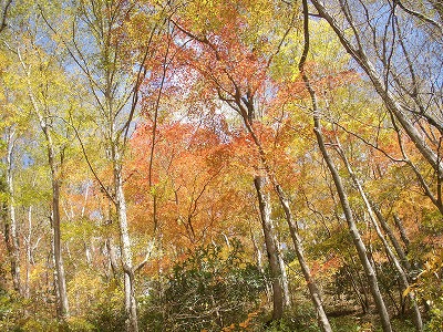 e0072023_20331973.jpg