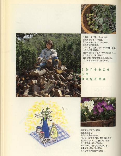 村山由佳　「海風通信　カモガワ開拓日記」_d0065324_11364563.jpg