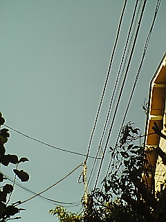 b0072729_13304811.jpg