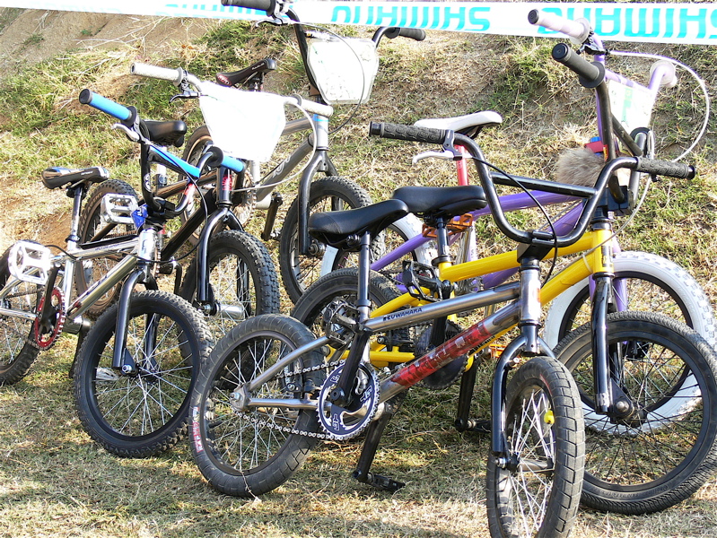 プロジェクト16VOL68 Racer of Race PITBIKE レース_b0065730_2032690.jpg