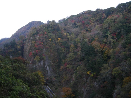 f0000330_18215625.jpg