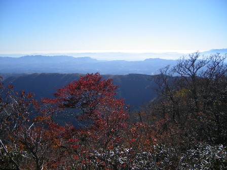 f0000330_1847222.jpg