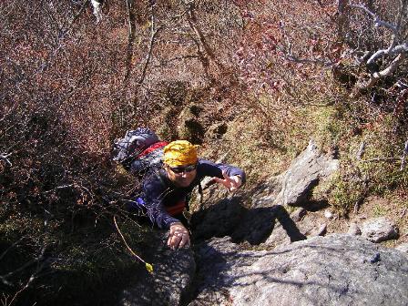 f0000330_1851954.jpg