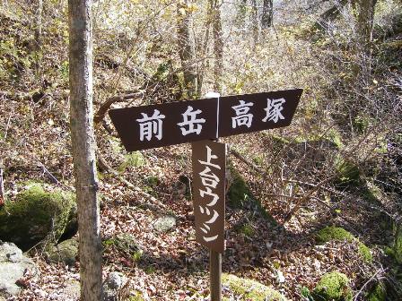 f0000330_185667.jpg