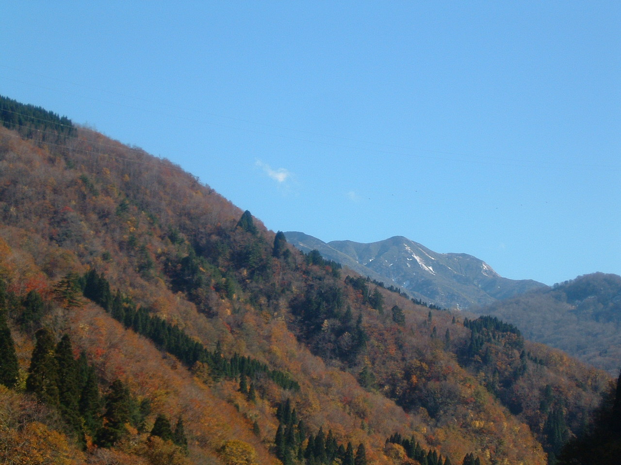 白山麓　紅葉真っ盛りでーす_f0040734_2043142.jpg