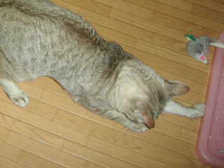 f0037135_16233492.jpg