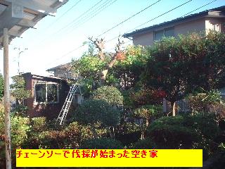 f0031037_17103084.jpg