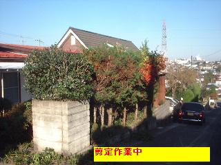 f0031037_17121284.jpg