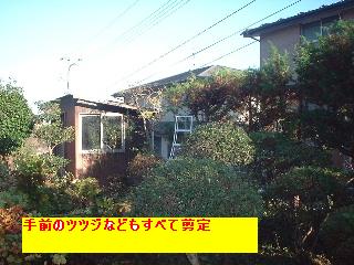 f0031037_1713471.jpg