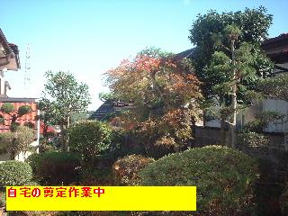 f0031037_17142387.jpg