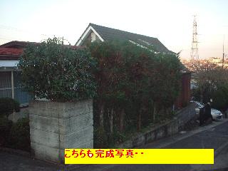 f0031037_1793531.jpg