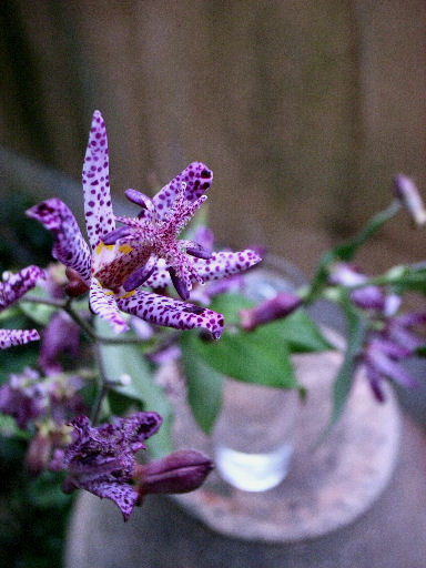 c0032138_9364625.jpg
