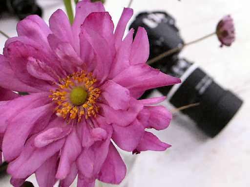 c0032138_9381916.jpg