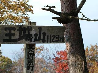 e0007544_79336.jpg