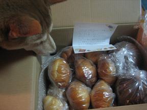 嬉しい♪ でも、えらいこっちゃ~!\(◎o◎)/!_c0049950_23272134.jpg