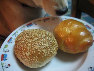 嬉しい♪ でも、えらいこっちゃ~!\(◎o◎)/!_c0049950_23372585.jpg